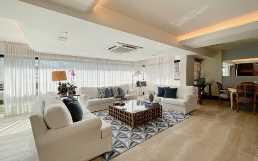 BEAUTIFUL PENTHOUSE WITH TERRACE AND MOUNTAIN VIEW IN LEBLON
