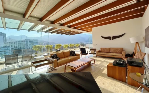 REFURBISHED DUPLEX PENTHOUSE WITH UNOBSTRUCTED VIEWS IN IPANEMA